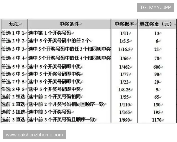 广东十一选五玩法解析与投注技巧全面指南，助您提高中奖概率