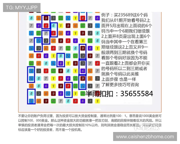 PK10走势图解析与投注技巧全面指南助你把握开奖规律 PK10走势图解析与投注技巧全面指南助你把握开奖规律
