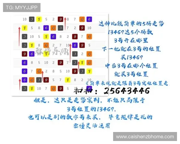 官方飞艇投注技巧与玩法策略全面解析指南