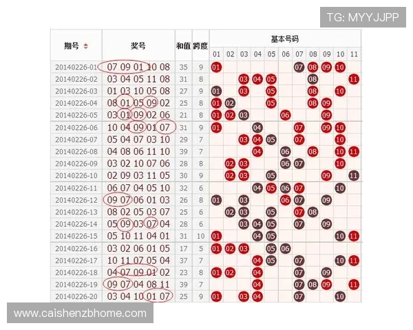 掌握十一选五选号技巧全面解析与实用策略指南